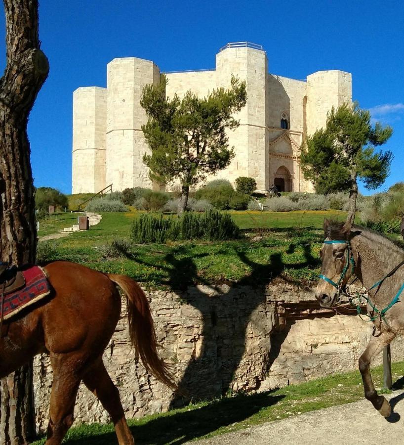 Casa Vacanza Dei Greci Barletta Dış mekan fotoğraf